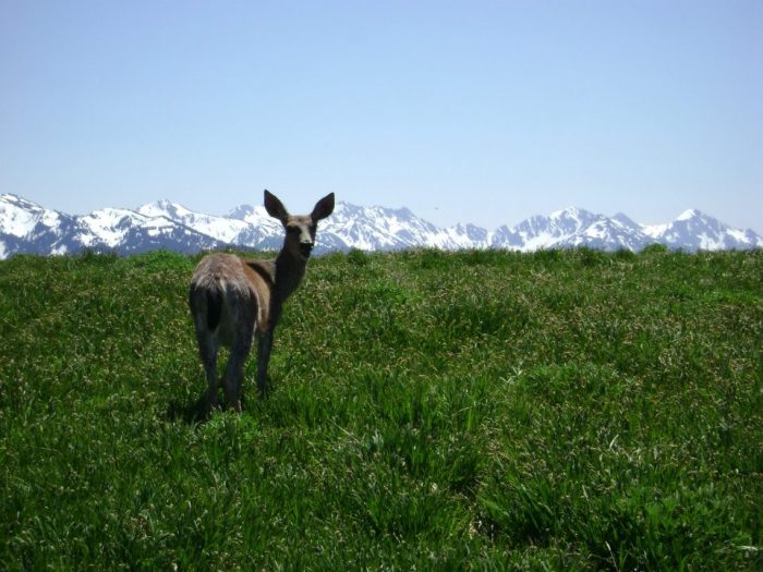 487755_10100418225878942_1008318119_n